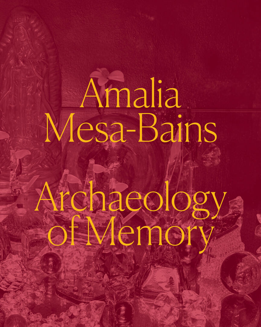Cover image for Amalia Mesa-Bains ISBN 9780520395718